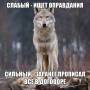 otmazki1.jpg