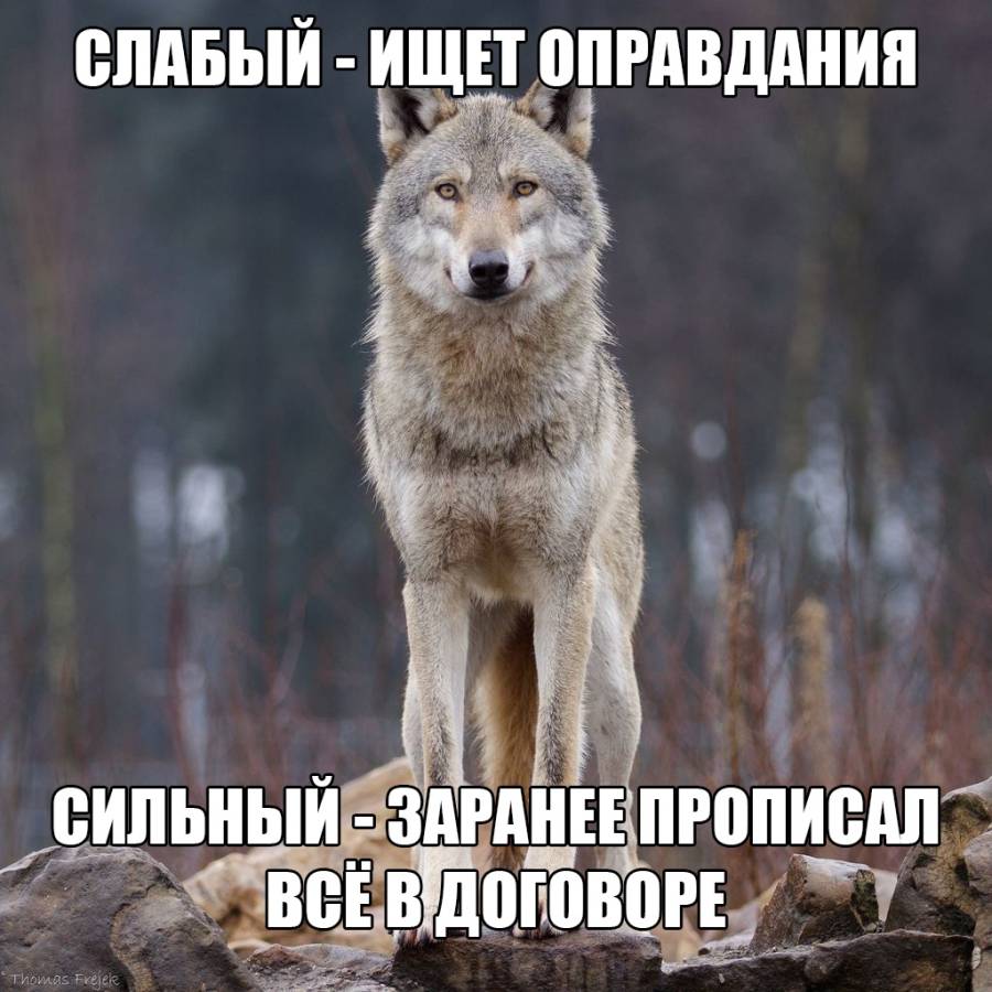 otmazki1.jpg
