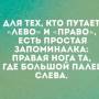 zapomni_palci.jpg